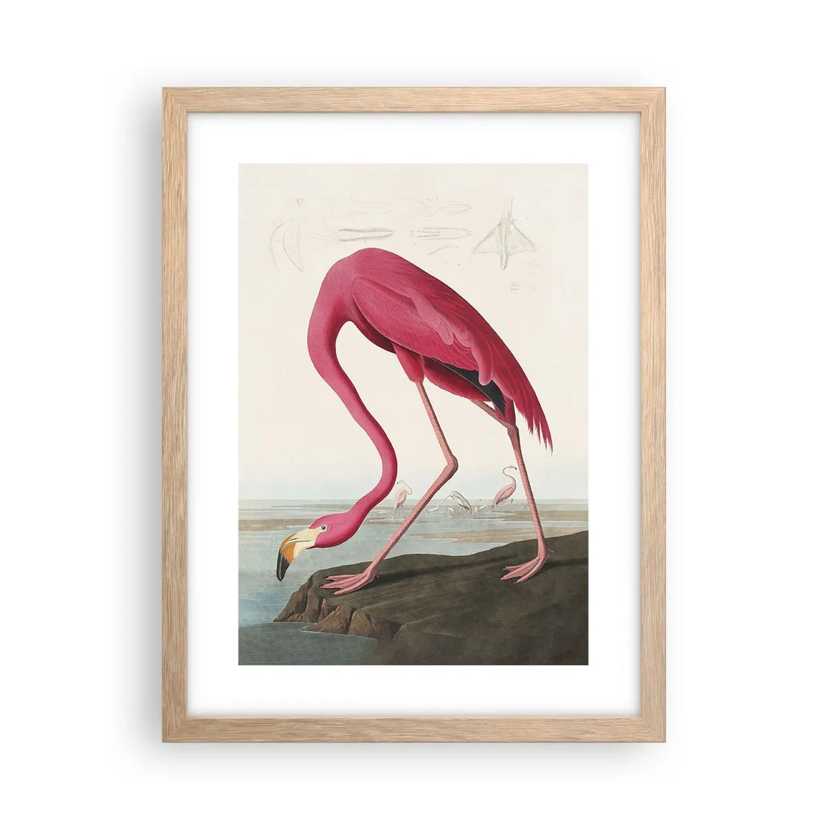 Pôster com moldura de carvalho claro - Uma criatura surpreendente - 30x40 cm