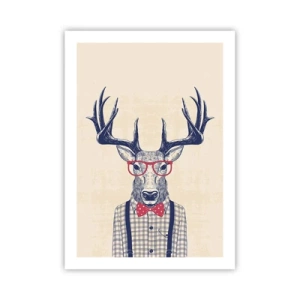 Pôster - Extravagância engraçada - 50x70 cm