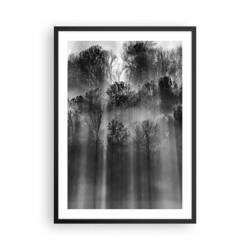 Pôster com moldura preta - Floresta preta e branca na neblina com raios de sol - 50x70cm - Em correntes de luz - Decoração de parede moderna para a sala de estar e quarto ARTTOR