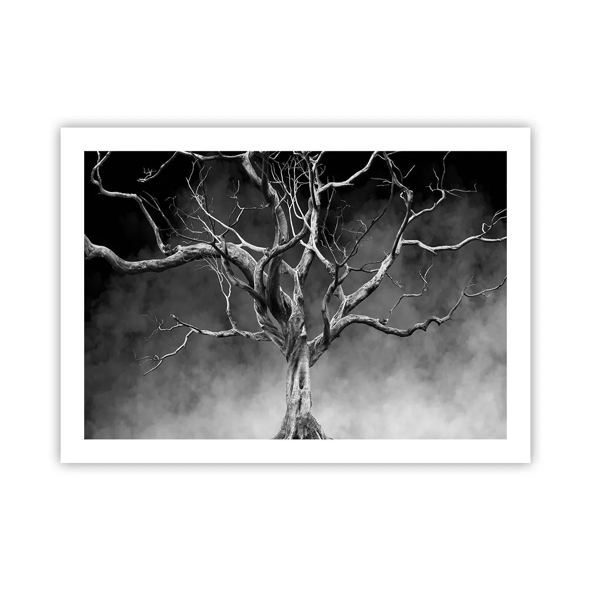 Pôster - Primitivo e sagrado - 70x50 cm