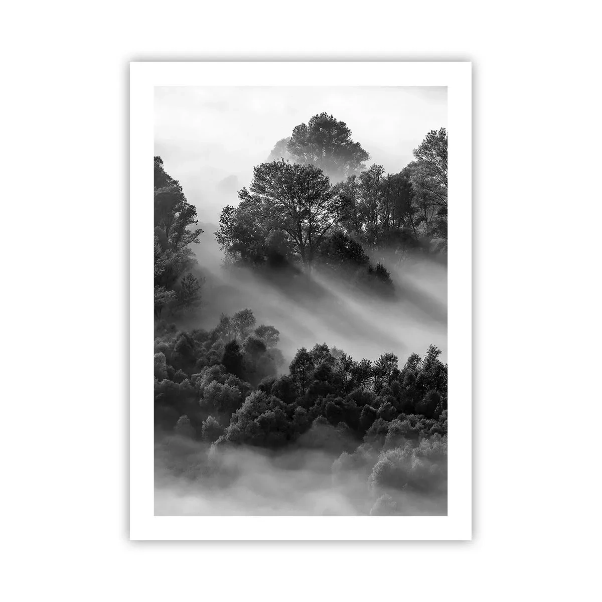 Pôster - Levantar-se do sono - 50x70 cm