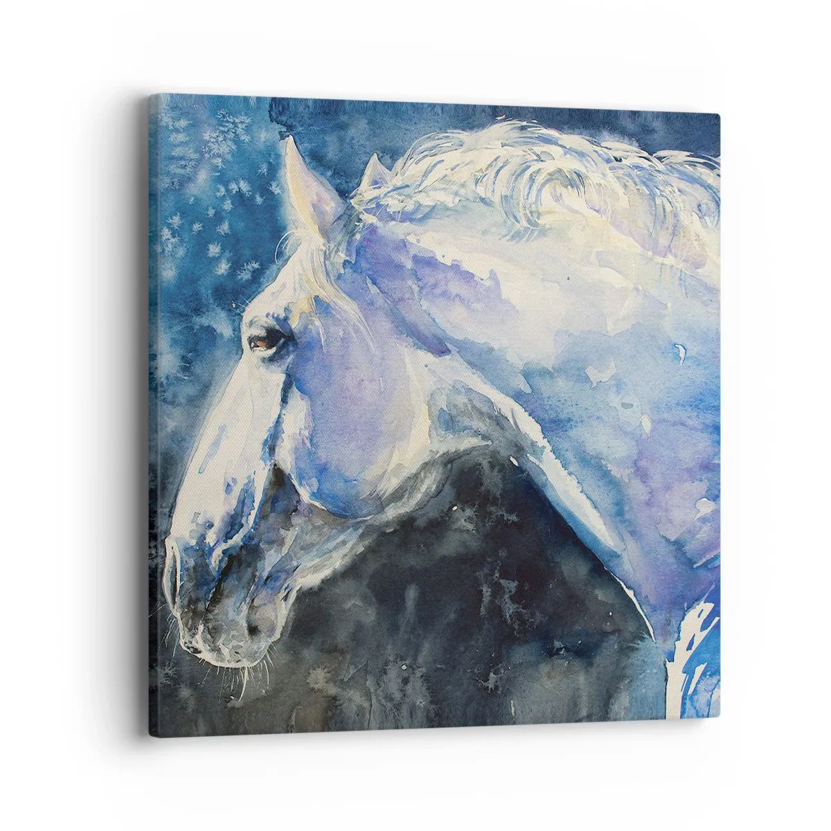 Quadro em tela - Retrato com um brilho azul - 40x40 cm