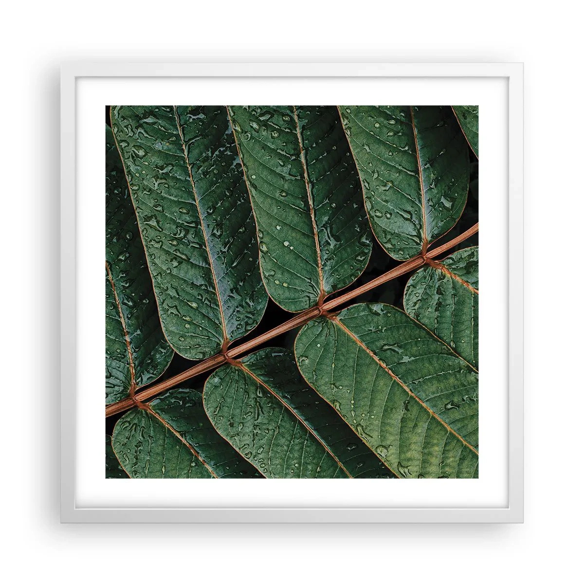 Pôster em moldura branca - Num ritmo verde - 50x50 cm