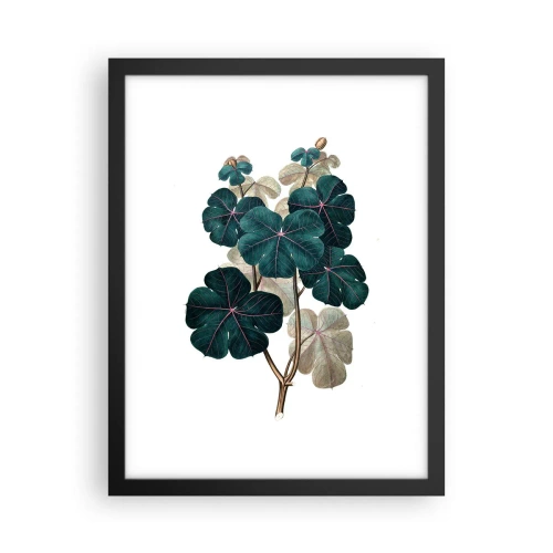 Pôster com moldura preta - Do antigo herbário - 30x40 cm