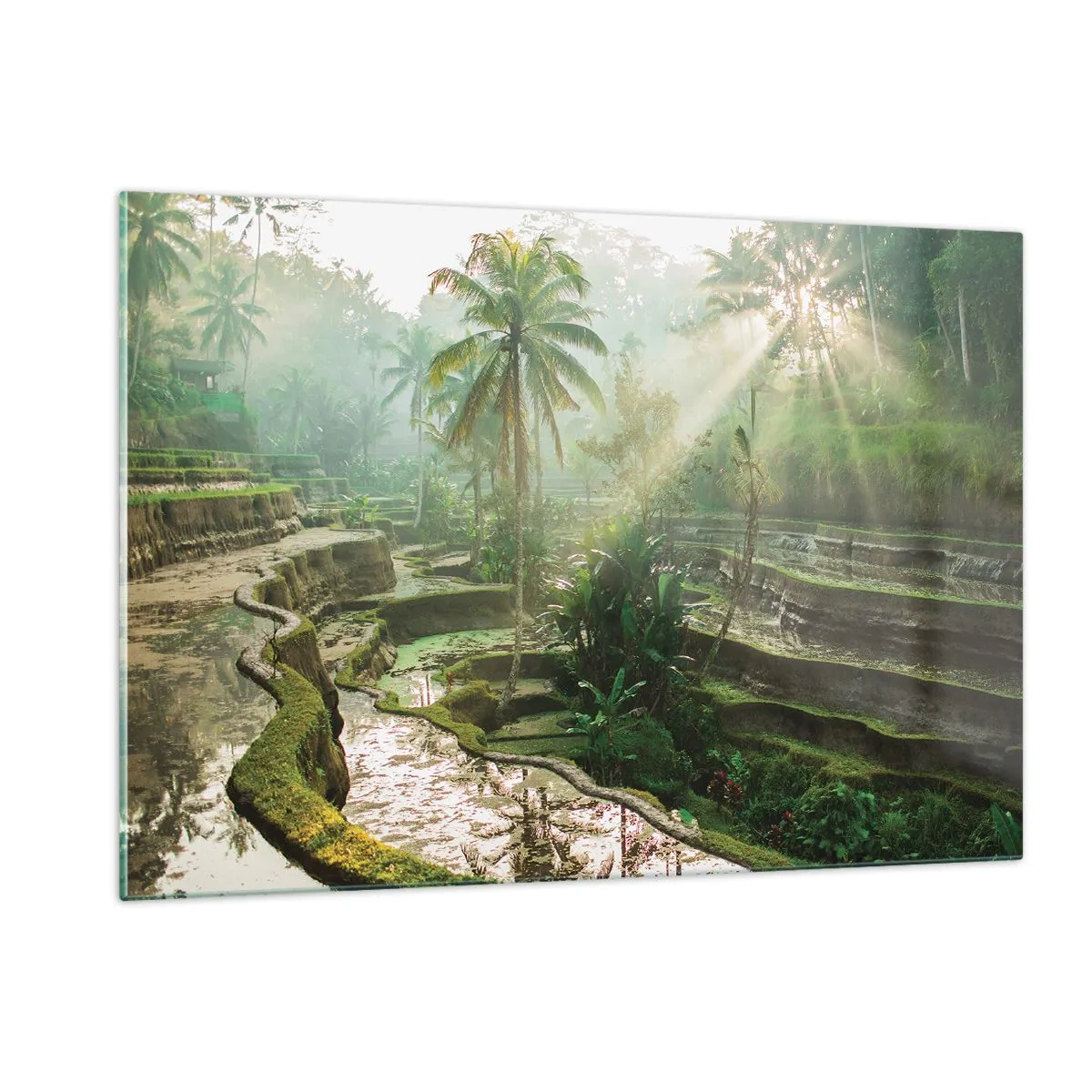 Quadro em vidro - Crescer ao sol - 120x80 cm