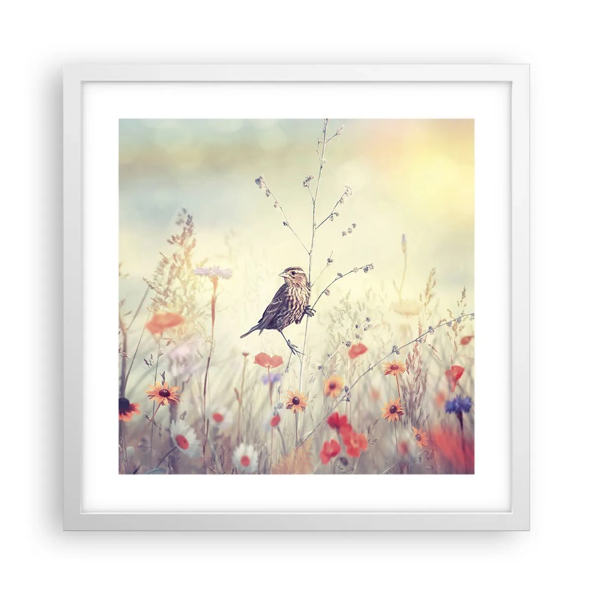 Pôster em moldura branca - Retrato de um pássaro com um prado no fundo - 40x40 cm