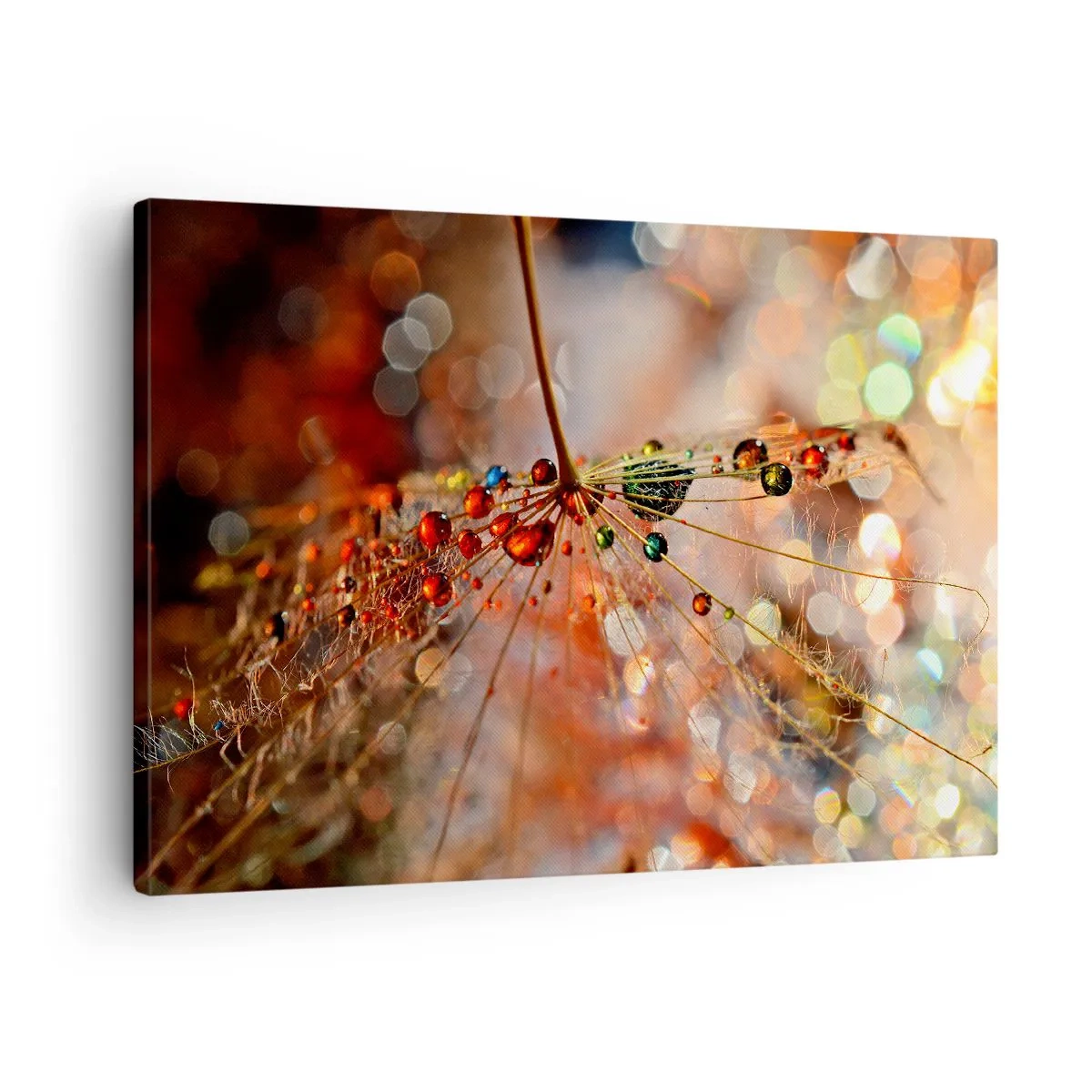 Quadro em tela - Fotografia macro de uma gota de água em uma planta delicada - 70x50cm - Enroscado numa teia de aranha - Decoração de parede moderna para a sala de estar e quarto ARTTOR