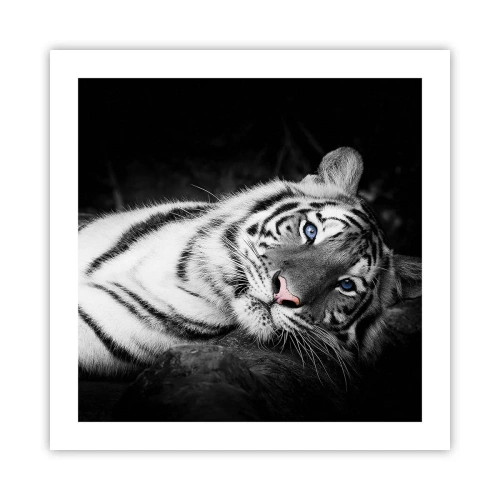 Pôster - Selvagem e tranquilo - 50x50 cm