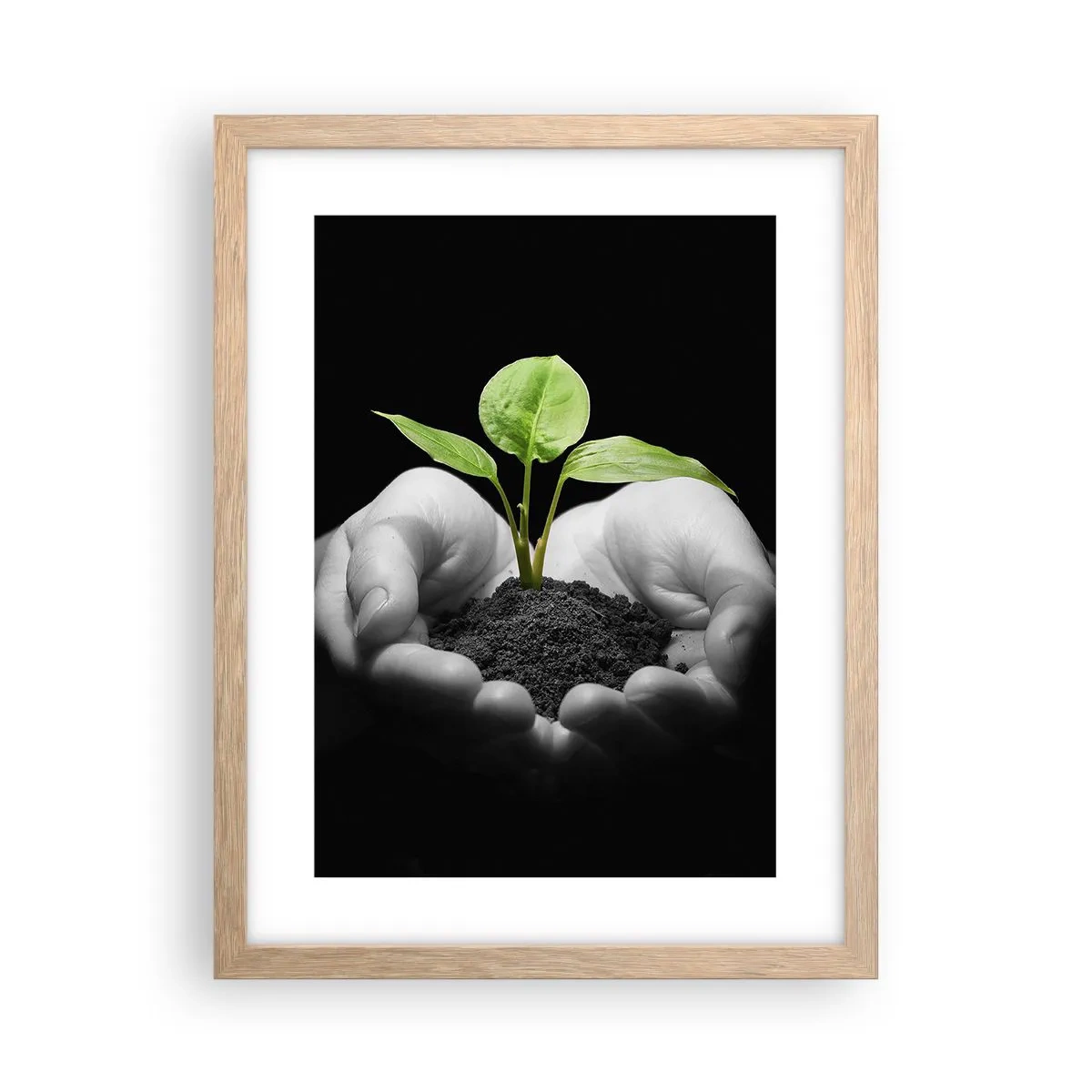 Pôster com moldura de carvalho claro - Eu amo a natureza, eu a protejo - 30x40 cm