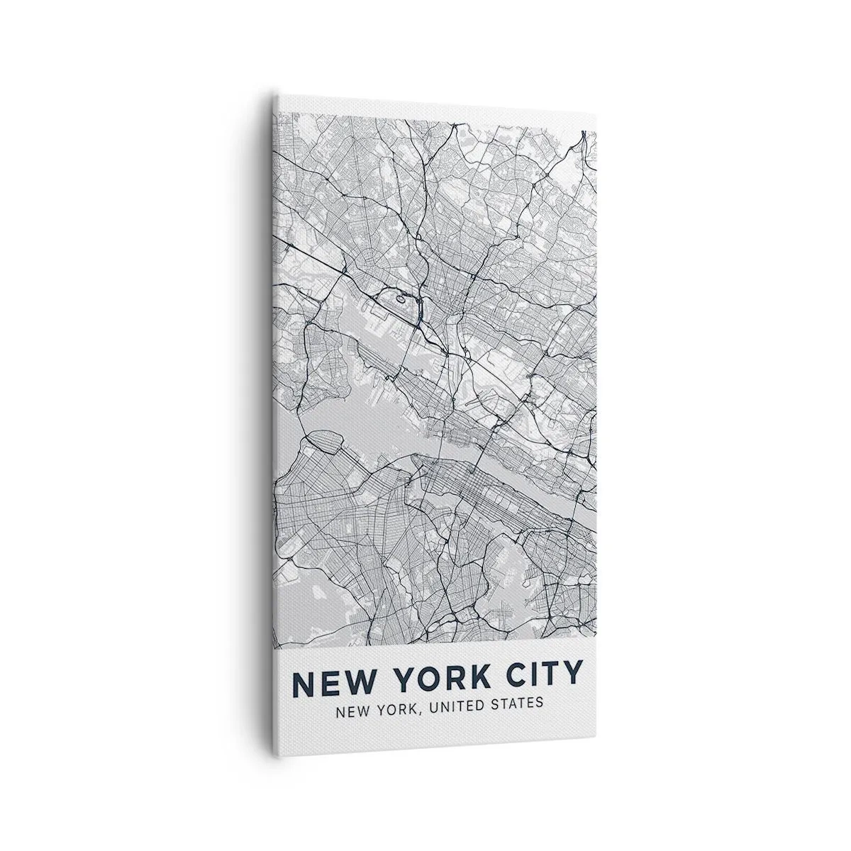 Quadro em tela - Anatomia de uma metrópole - 55x100 cm