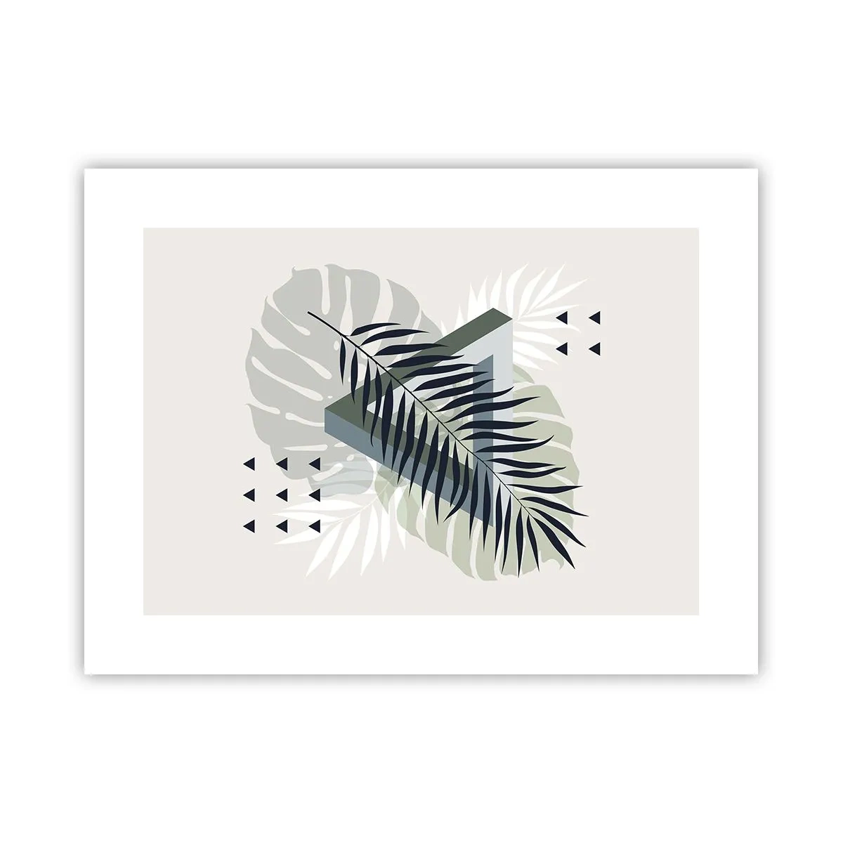Pôster - Natureza e geometria – duas ordens? - 40x30 cm