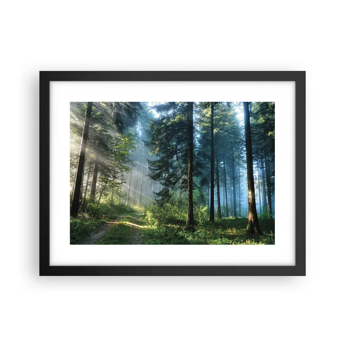 Pôster com moldura preta - Radiante de manhã - 40x30 cm