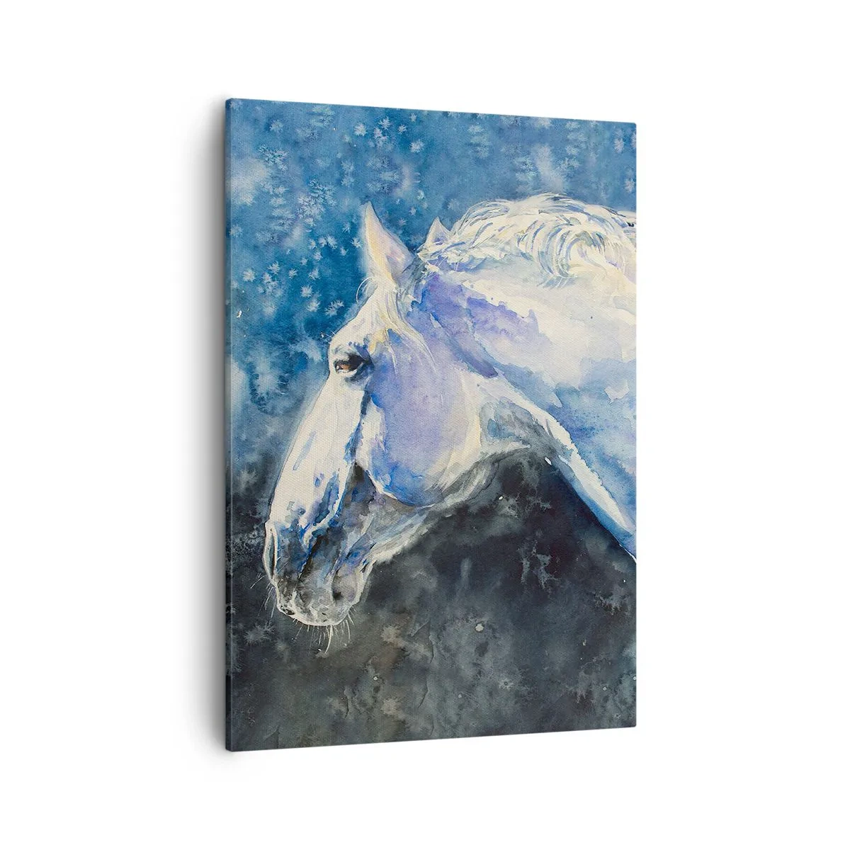Quadro em tela - Retrato com um brilho azul - 50x70 cm