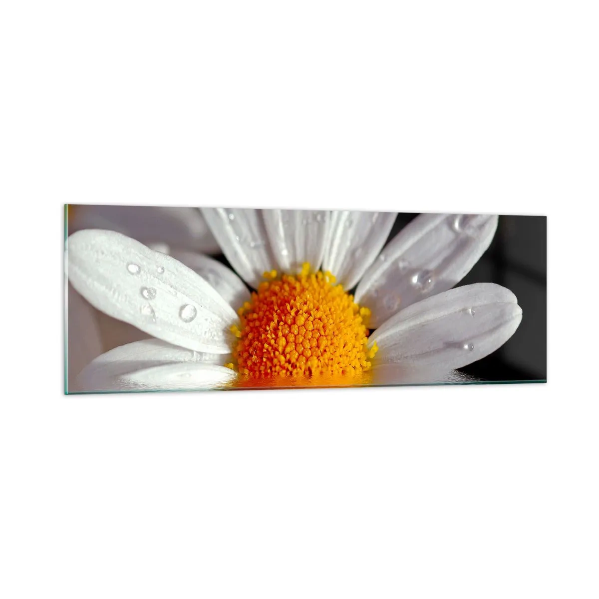 Quadro em vidro - As margaridas do sol nascente - 90x30 cm