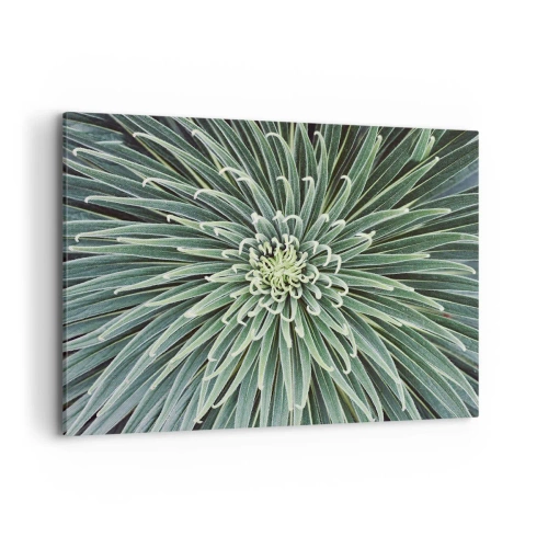 Quadro em tela - Nasce uma estrela - 100x70 cm