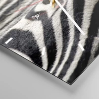 Mostrador com traços