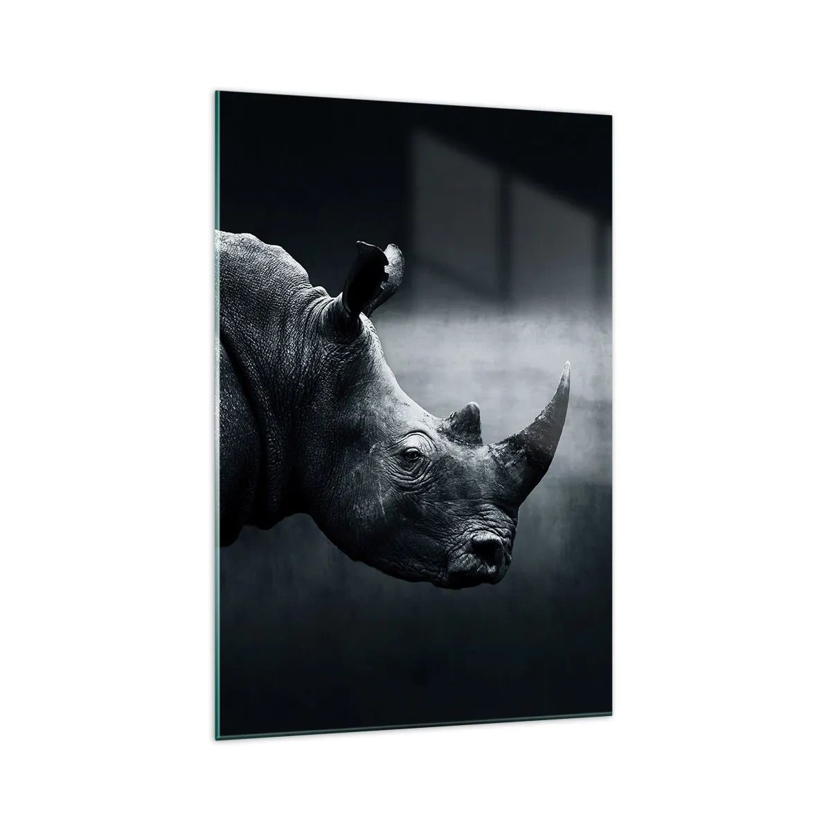 Quadro em vidro - Perfil direito - 70x100 cm