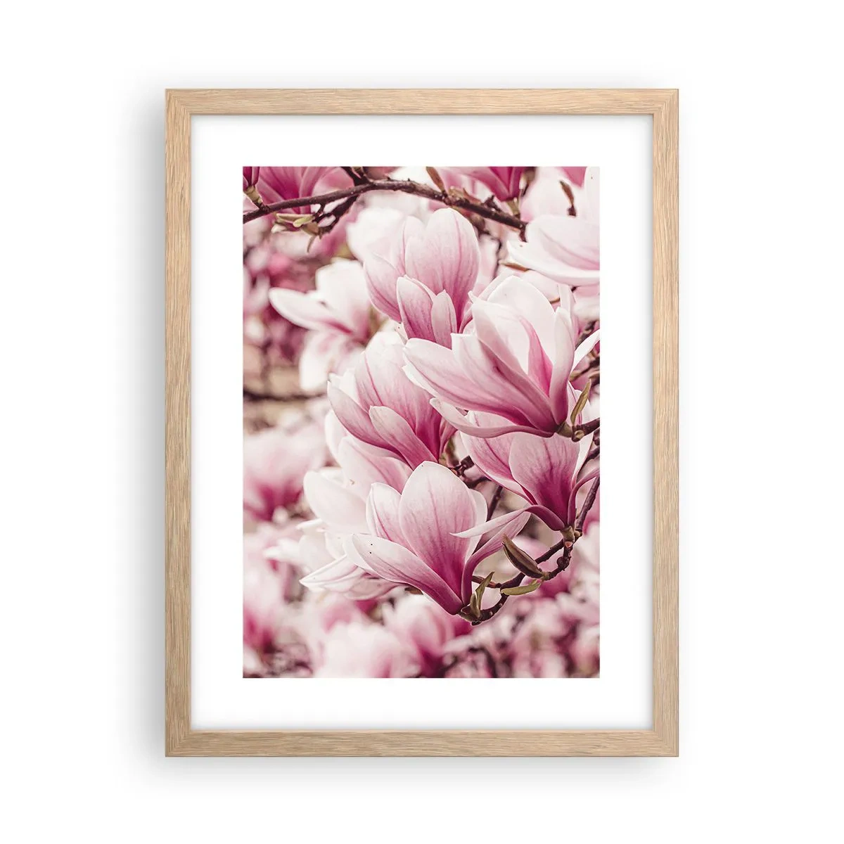 Pôster com moldura de carvalho claro - A primavera é rosa - 30x40 cm