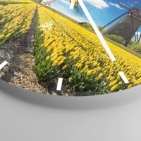 Mostrador com traços