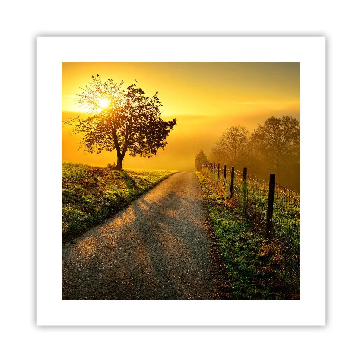 Pôster - Uma tarde agradável - 40x40 cm