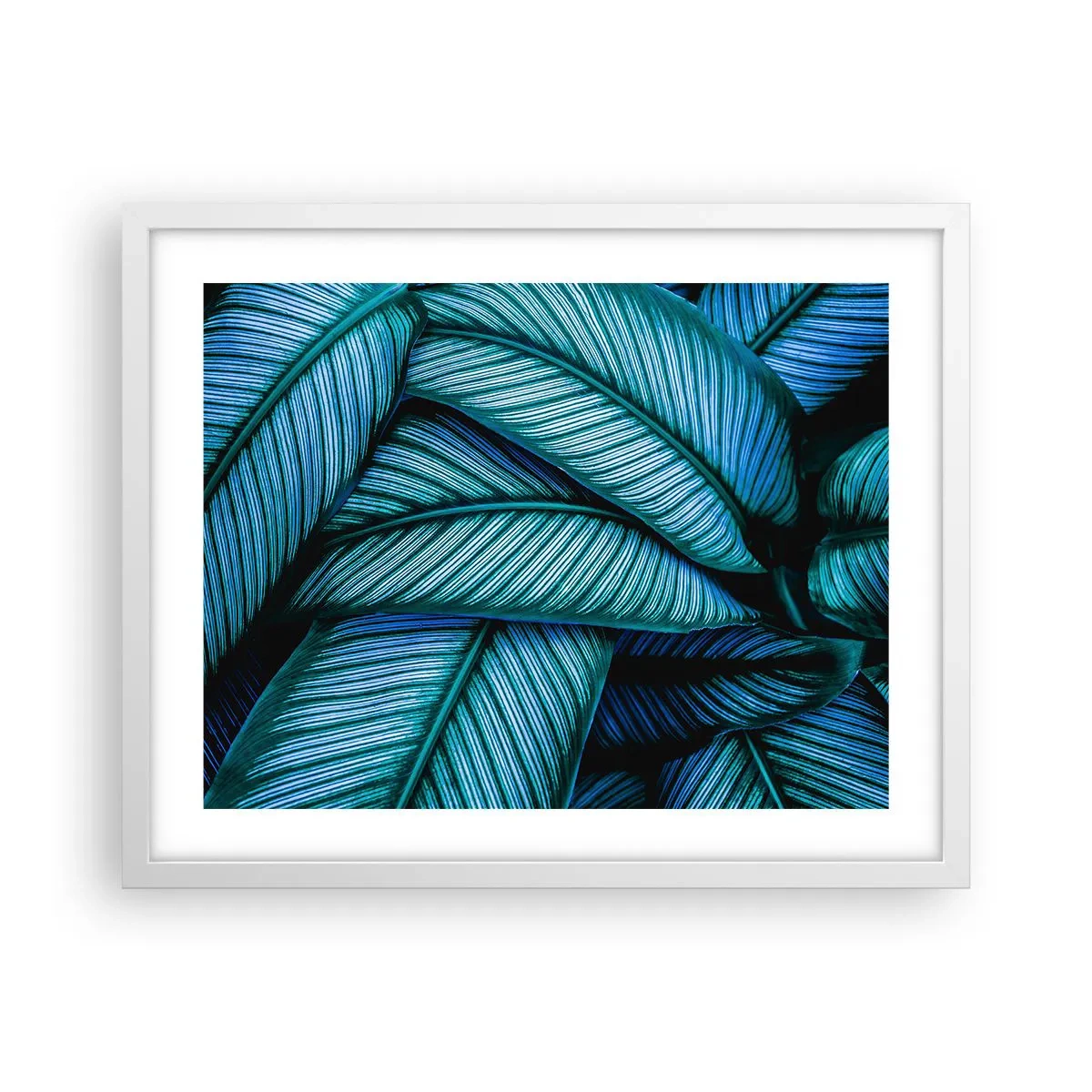 Pôster em moldura branca - Linhas de vida - 50x40 cm