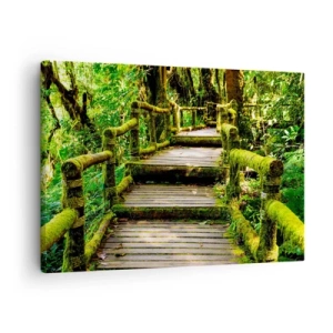 Quadro em tela - Uma ponte de madeira coberta de musgo em uma floresta tropical - 70x50cm - Corredor de vegetação - Decoração de parede moderna para a sala de estar e quarto ARTTOR