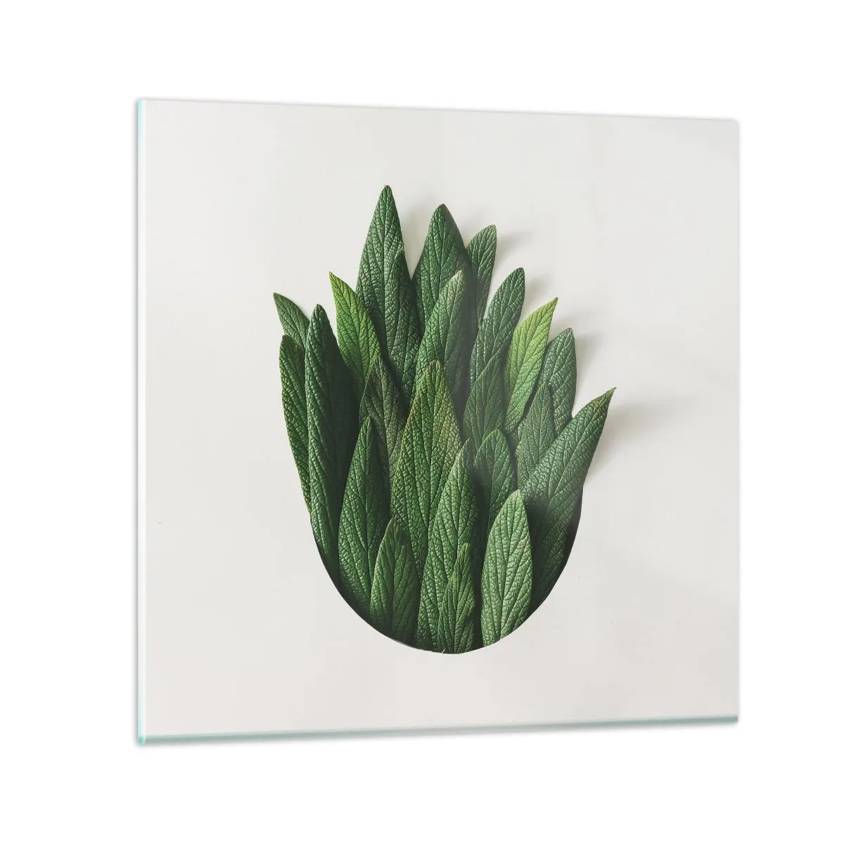 Quadro em vidro - Curiosidade indomável - 30x30 cm