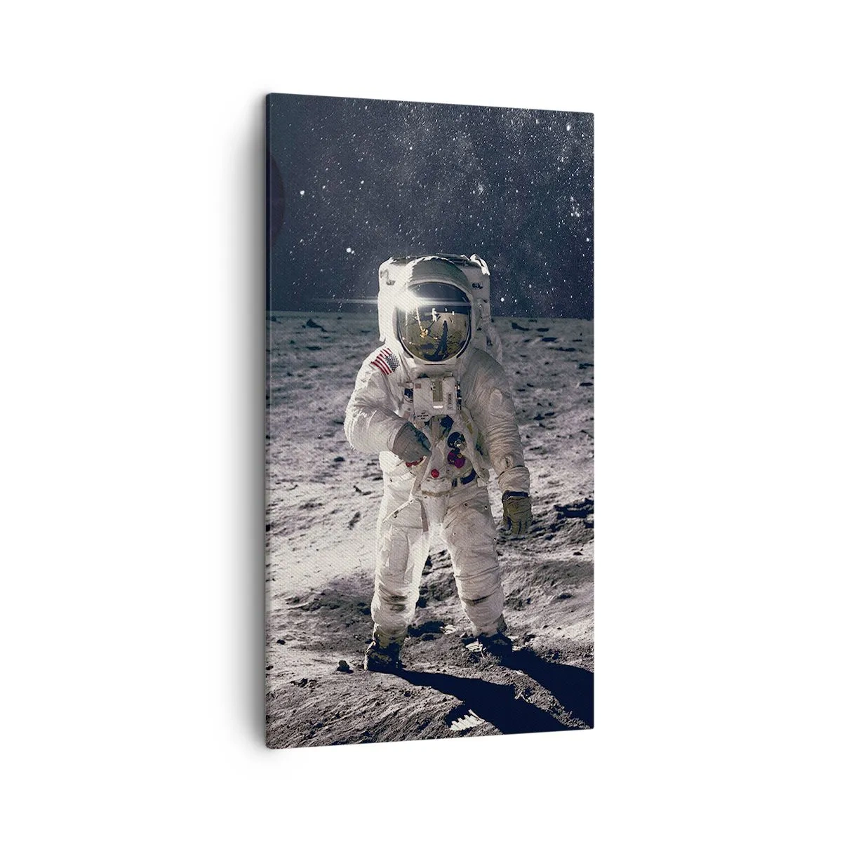 Quadro em tela - Saudações da Lua - 45x80 cm