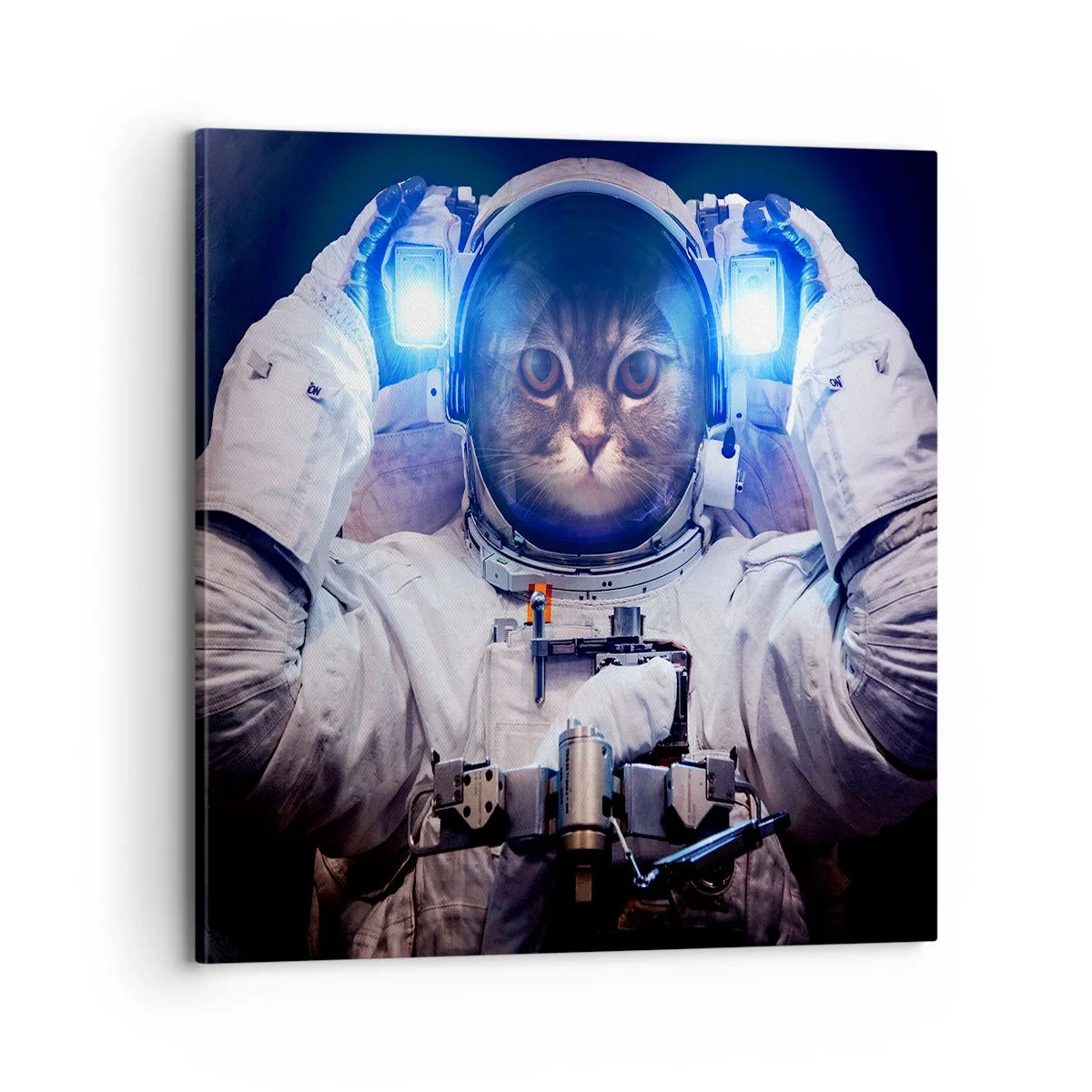 Quadro em tela - Houston, temos um problema - 70x70 cm