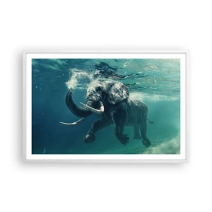 Pôster em moldura branca - Todo mundo gosta de nadar - 91x61 cm