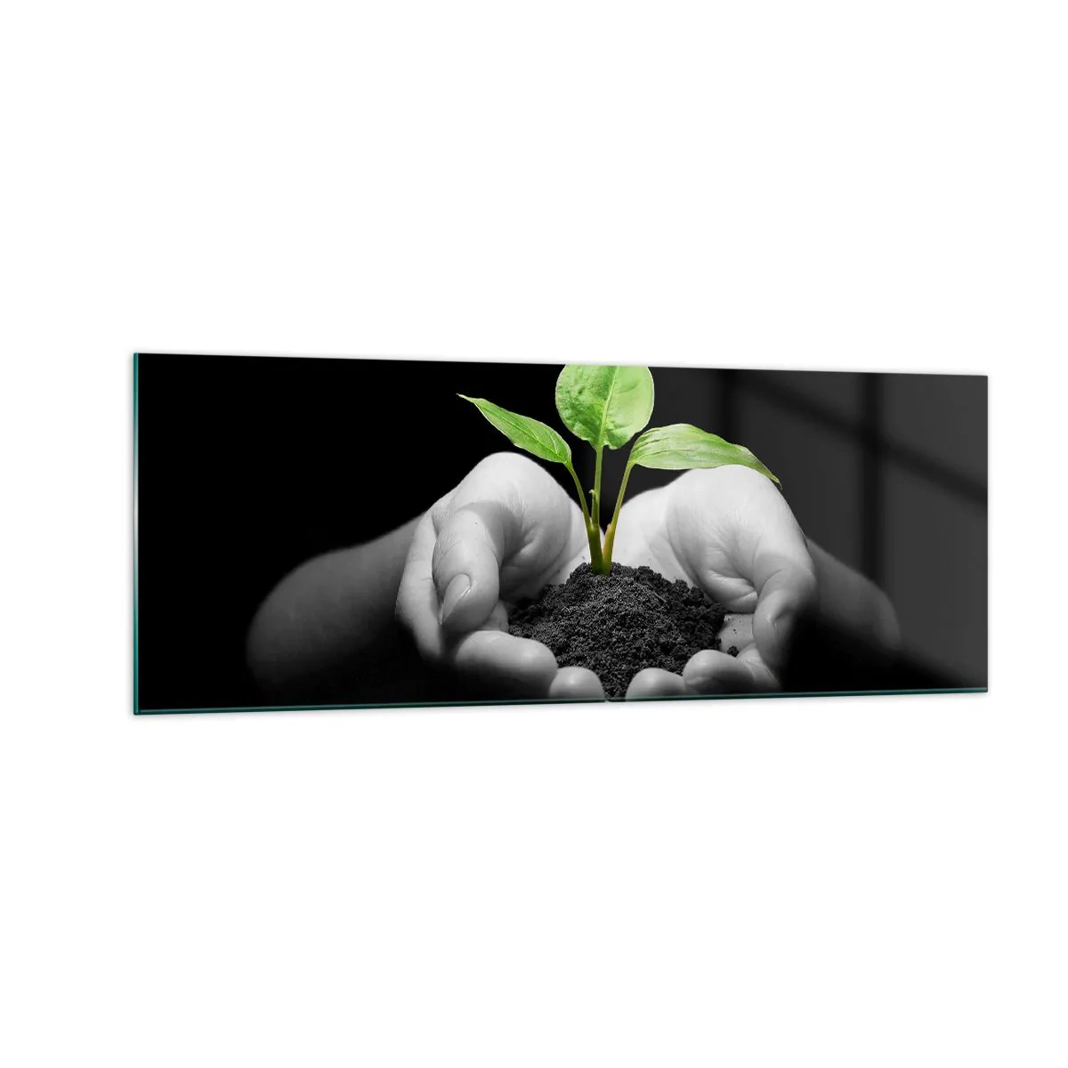 Quadro em vidro - Eu amo a natureza, eu a protejo - 140x50 cm