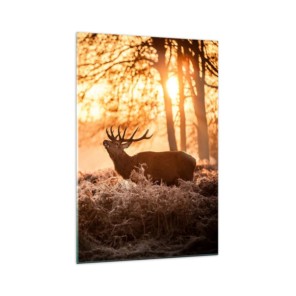 Quadro em vidro - O sonho do caçador - 70x100 cm