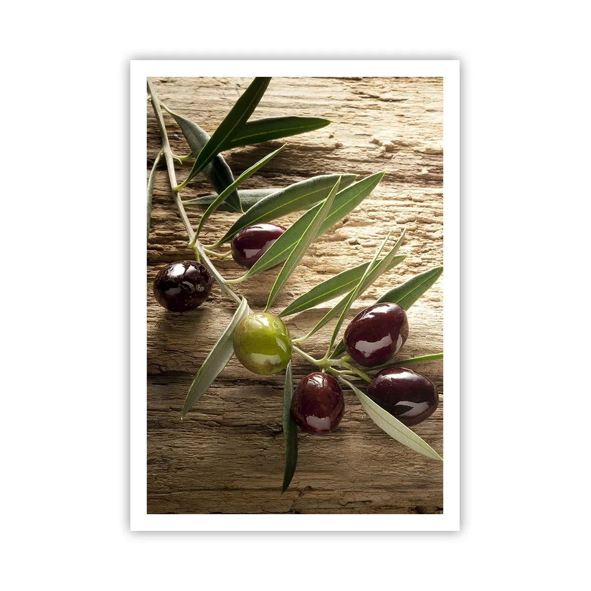 Pôster - Direto da natureza - 70x100 cm