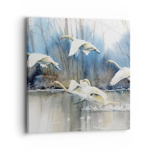 Quadro em tela - Como no conto de fadas sobre cisnes selvagens - 40x40 cm