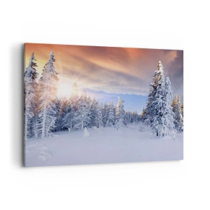 Quadro em tela - Espetáculo de neve da natureza - 100x70 cm