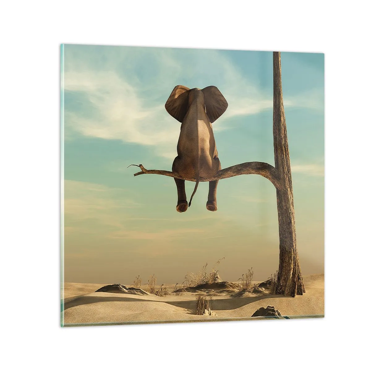 Quadro em vidro - Um novo ponto de vista - 70x70 cm