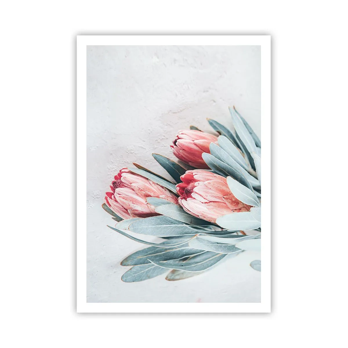 Pôster - Envergonhadas da sua própria beleza - 70x100 cm