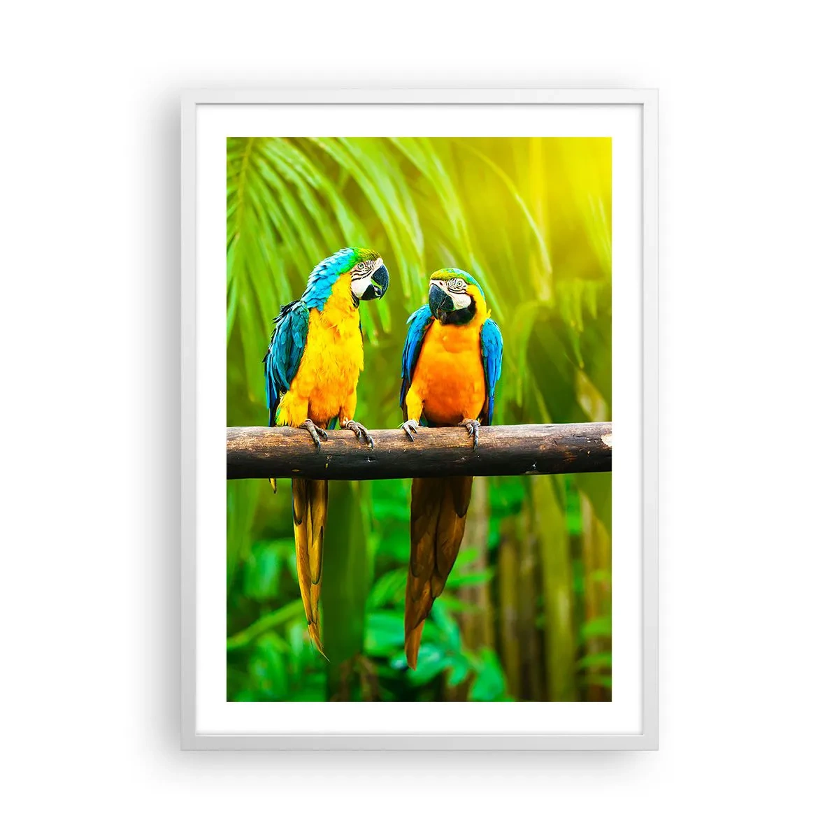 Pôster em moldura branca - E ouviste dizer que ela...? - 50x70 cm