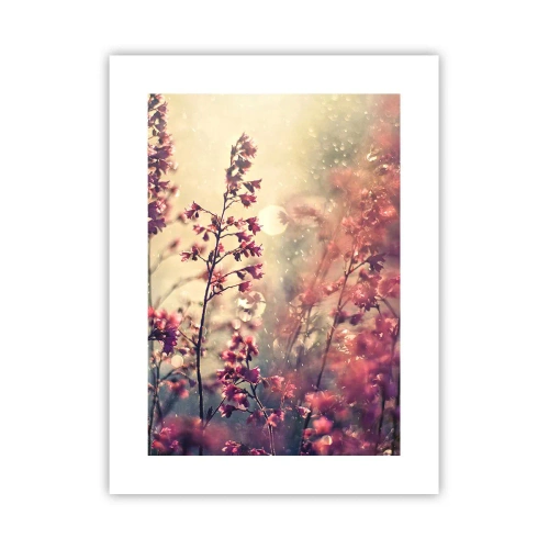 Pôster - Jardim Secreto - 30x40 cm