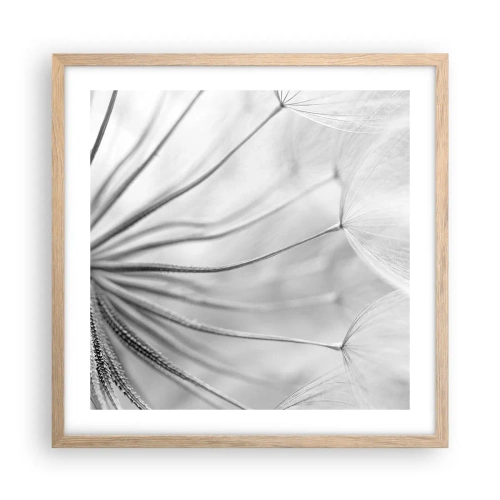 Pôster com moldura de carvalho claro - Dentes de leão, pipas - 50x50 cm