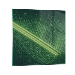 Quadro em vidro - A estrutura da vegetação - 70x70 cm
