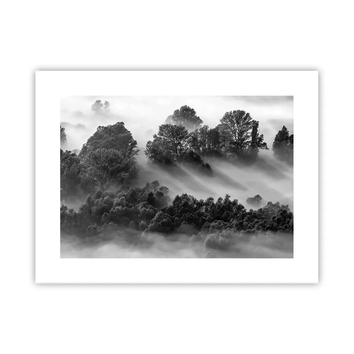 Pôster - Levantar-se do sono - 40x30 cm