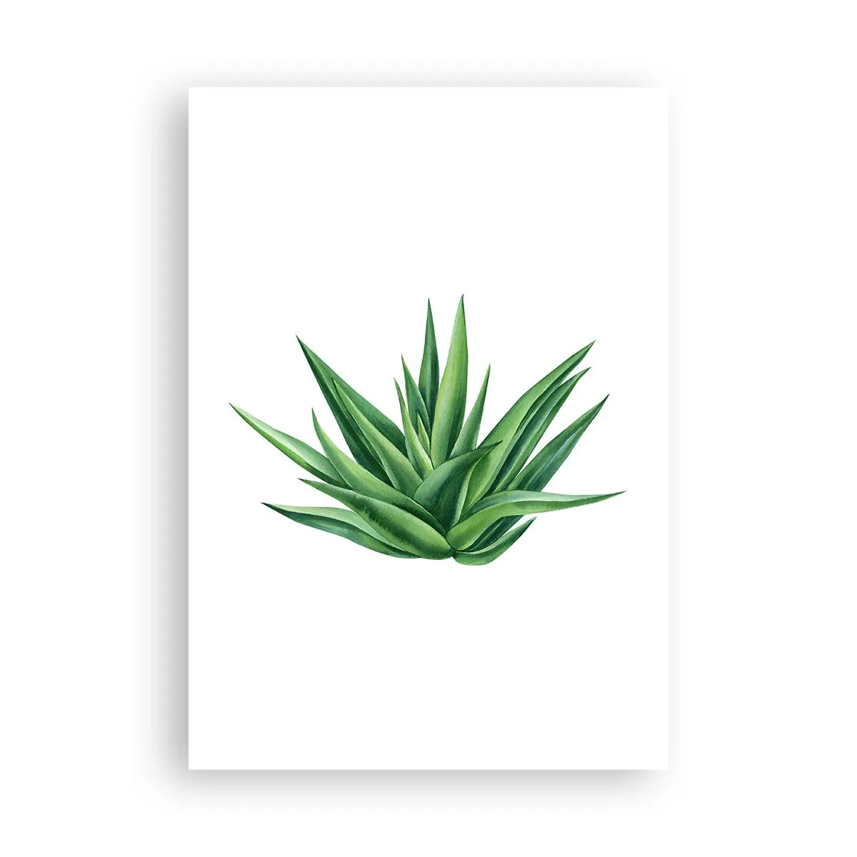 Pôster - Verde – força – vida - 70x100 cm