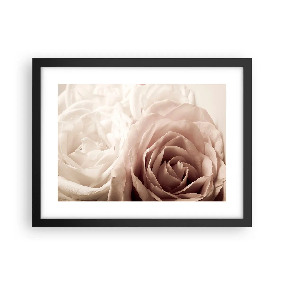 Pôster com moldura preta - No coração de uma rosa - 40x30 cm