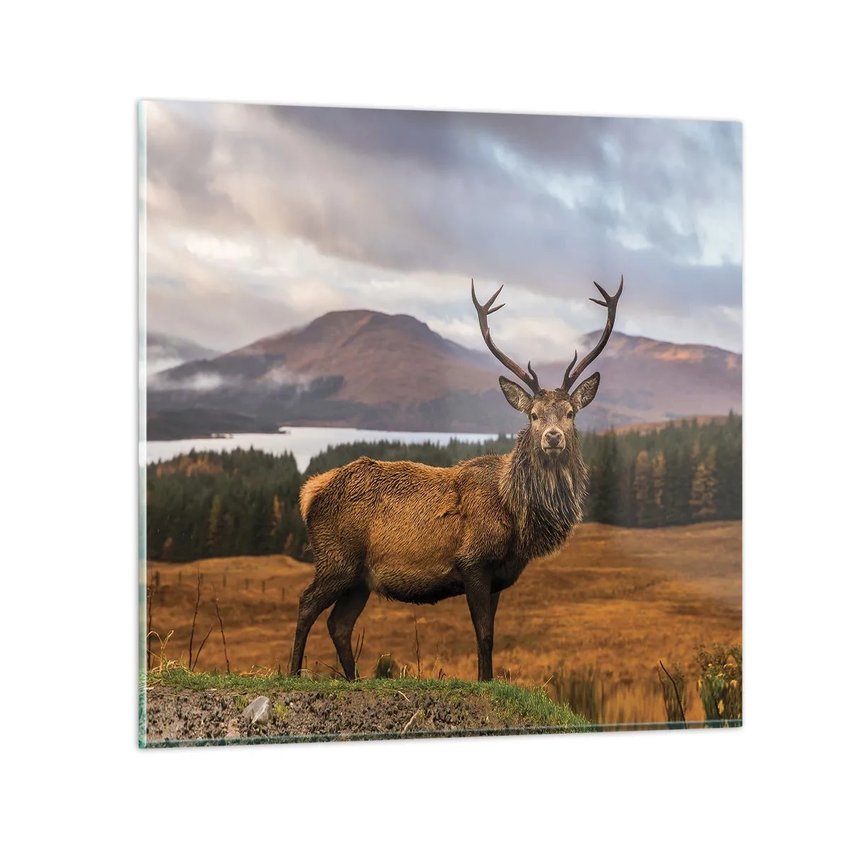 Quadro em vidro - A majestade da natureza - 30x30 cm