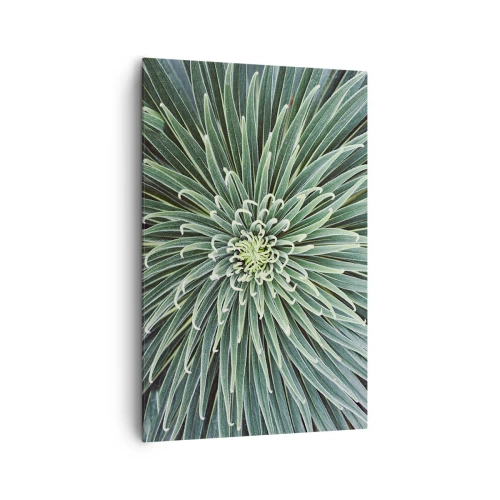 Quadro em tela - Nasce uma estrela - 80x120 cm