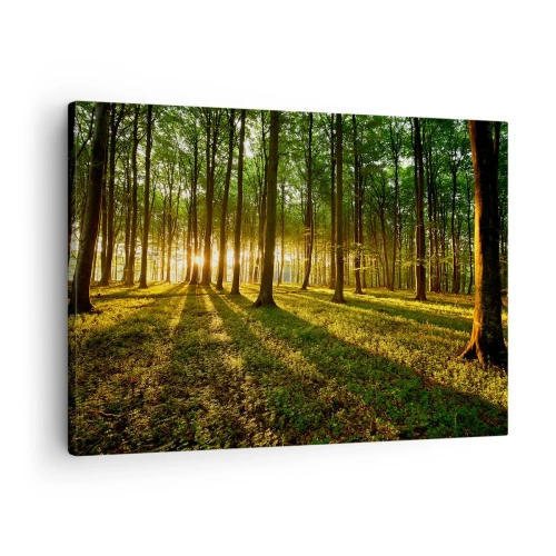 Quadro em tela - O pôr do sol na floresta decídua - 70x50cm - Fotografia de todas as primaveras - Decoração de parede moderna para a sala de estar e quarto ARTTOR