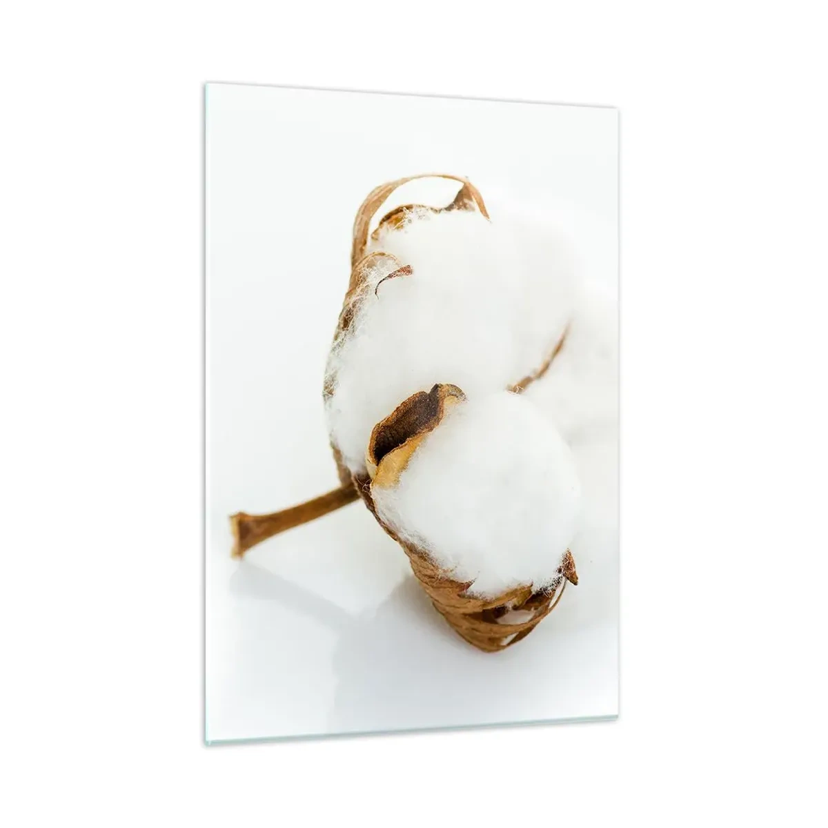 Quadro em vidro - Suave por natureza - 50x70 cm