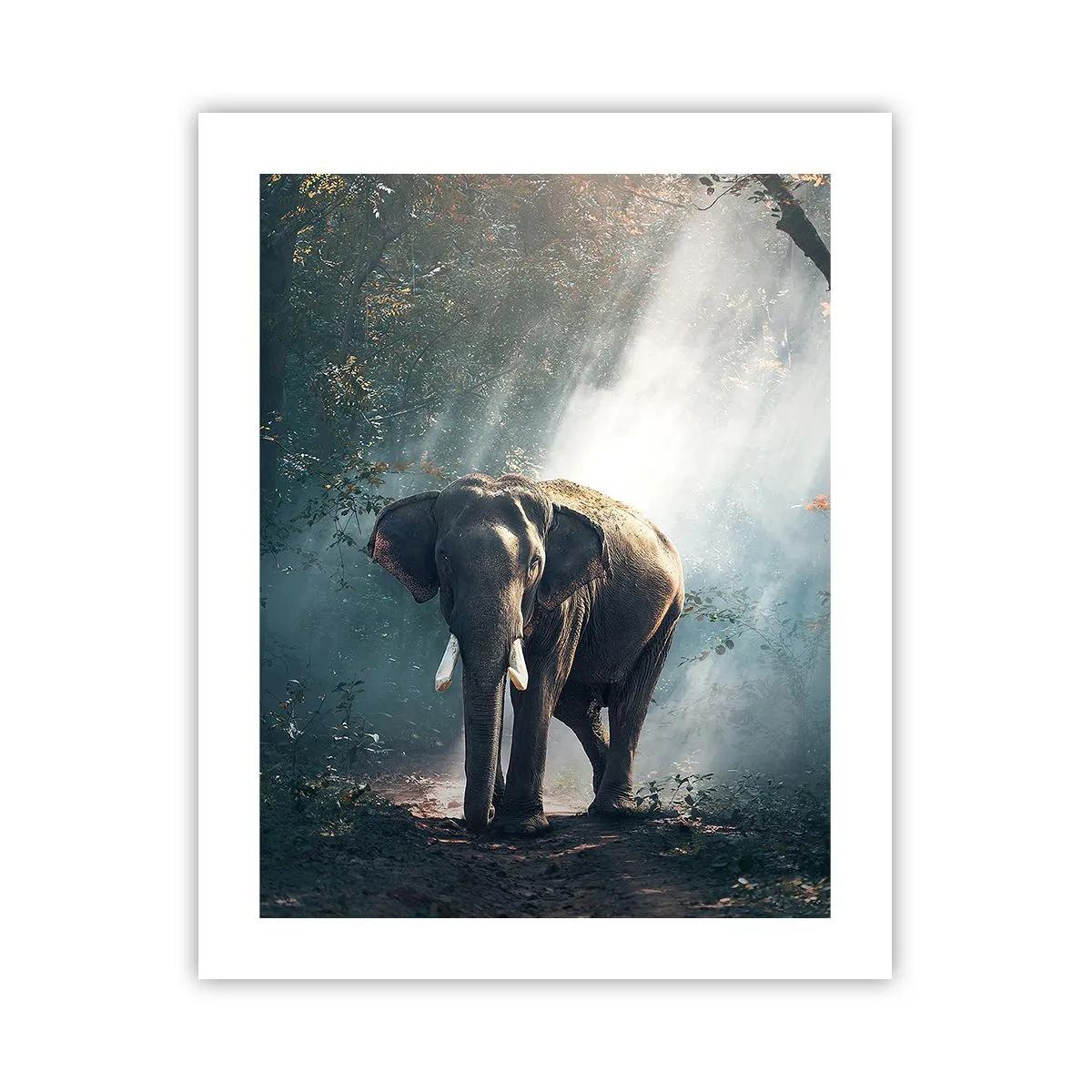 Pôster - Um passeio descontraído - 40x50 cm