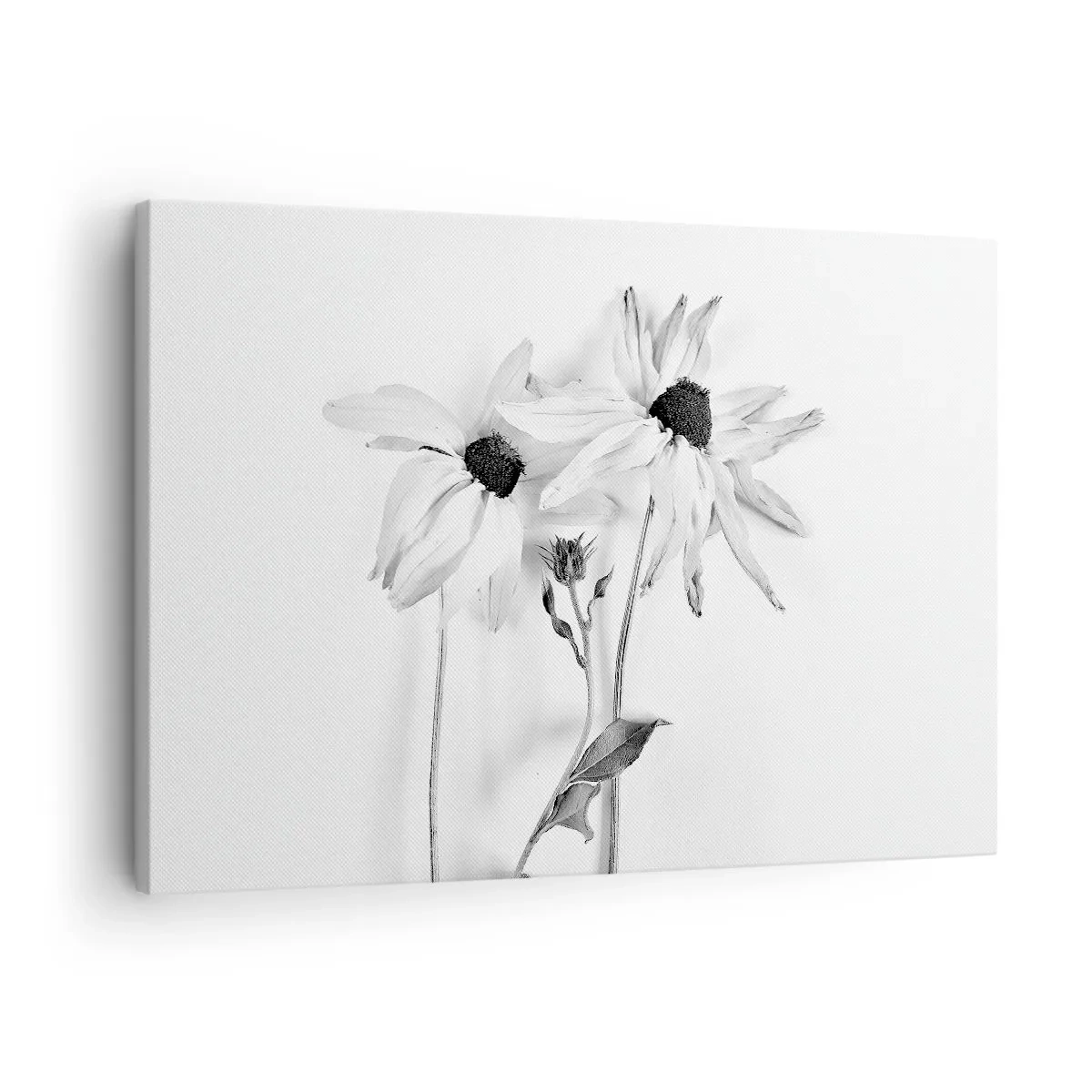 Quadro em tela - Flores pretas e brancas com uma composição sutil - 70x50cm - Ninguém quer estar sozinho - Decoração de parede moderna para a sala de estar e quarto ARTTOR